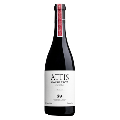Attis Caiño 2017