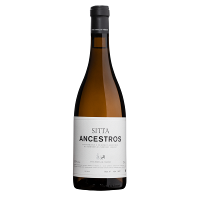 Sitta Ancestros 2016