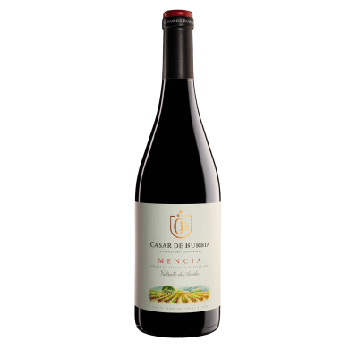 Casar de Burbia 2020 Magnum